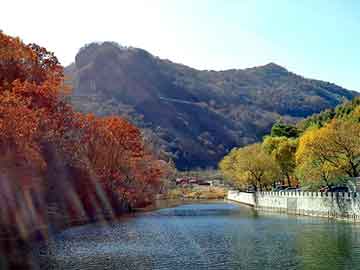 澳门二四六天天彩图库，黑帽seo教学